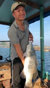 Cá Vược được HTX Khang Tường đánh bắt