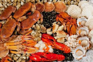 Những loại hải sản có chứa nhiều protein